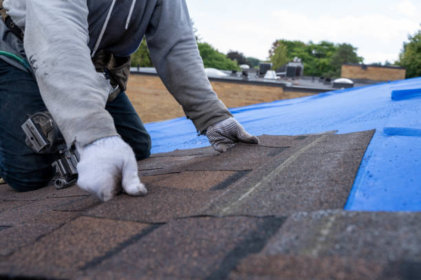 Best Emergency Roof Repair  in Nampa, ID